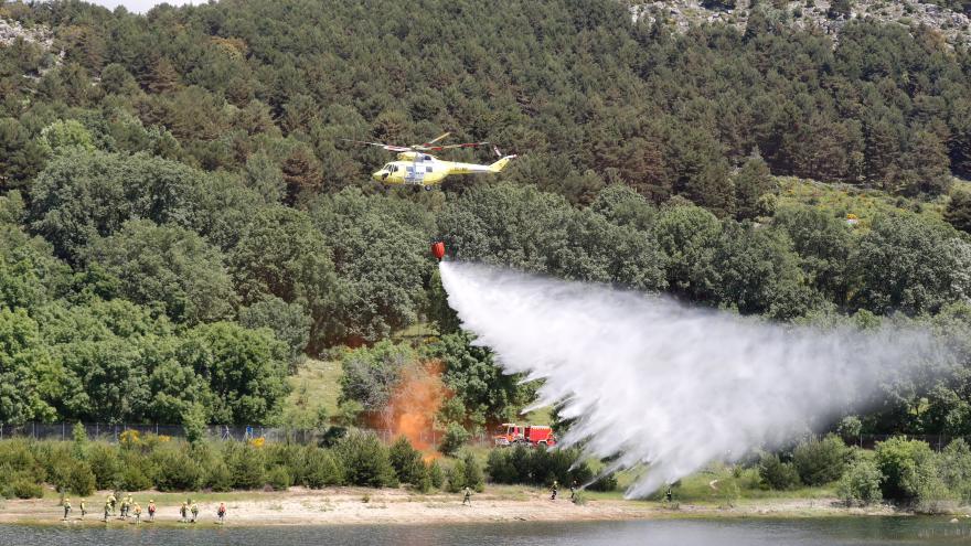 Texto Alternativo: Recuperamos los terrenos forestales afectados por el incendio de Cadalso de los Vidrios