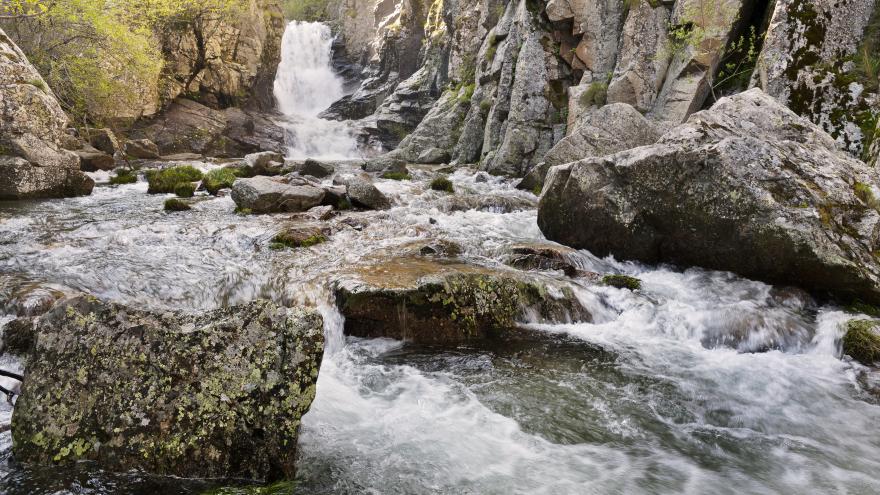 Texto Alternativo: La Comunidad invierte en la mejora del Parque Regional del Curso Medio del Río Guadarrama