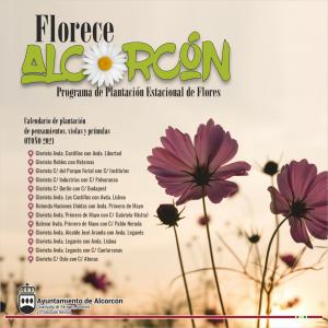 Texto Alternativo: Alcorcón desarrolla una campaña de plantación de flores con 16.350 pensamientos, violas y prímulas