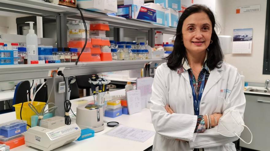 Texto Alternativo: El 12 de Octubre crea un modelo in vitro con células madre para tratar una enfermedad ocular rara