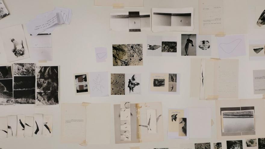 Texto Alternativo: La Comunidad de Madrid convoca una nueva edición de los concursos FotoCanal y Fotolibro