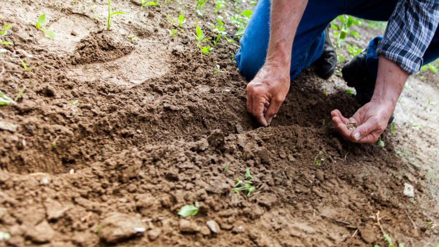 Texto Alternativo: La Comunidad de Madrid aporta 12 millones de euros a la modernización del sector agropecuario