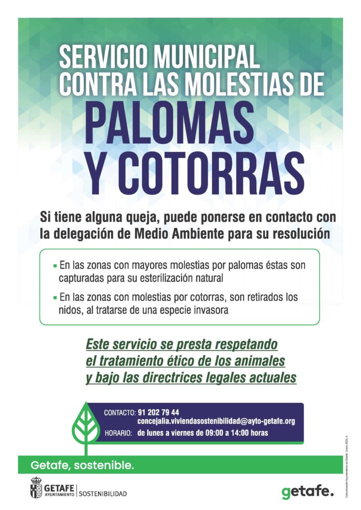 Texto Alternativo: El Ayuntamiento de Getafe mejora el servicio para eliminar las molestias de cotorras y palomas