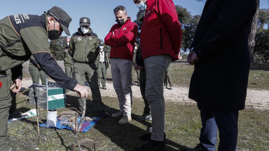 Texto Alternativo: La Comunidad de Madrid duplicó en 2021 la investigación de presuntos delitos ambientales a través del Cuerpo de Agentes Forestales