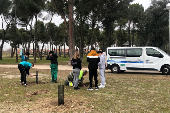 Texto Alternativo: Estudiantes del IES Tierno Galván colaboran con el Ayuntamiento de Leganés en la plantación de 150 árboles en el parque de Los Frailes