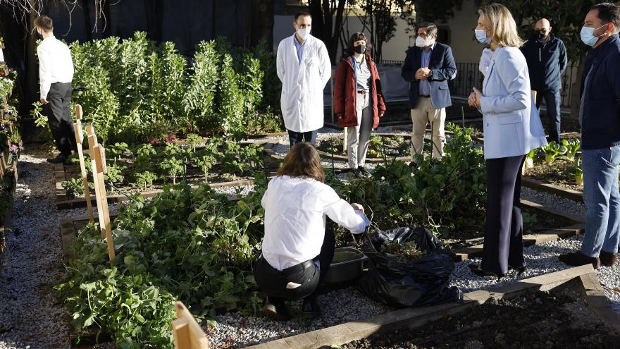 Texto Alternativo: La Comunidad de Madrid crea el primer laboratorio agrícola urbano en la región