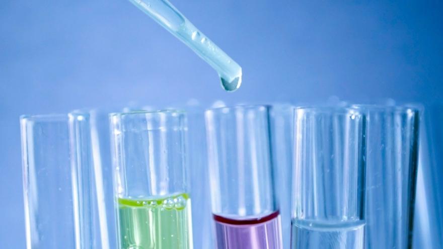 Texto Alternativo: La Comunidad de Madrid destaca la importancia de las mujeres en el desarrollo de la Ciencia en España