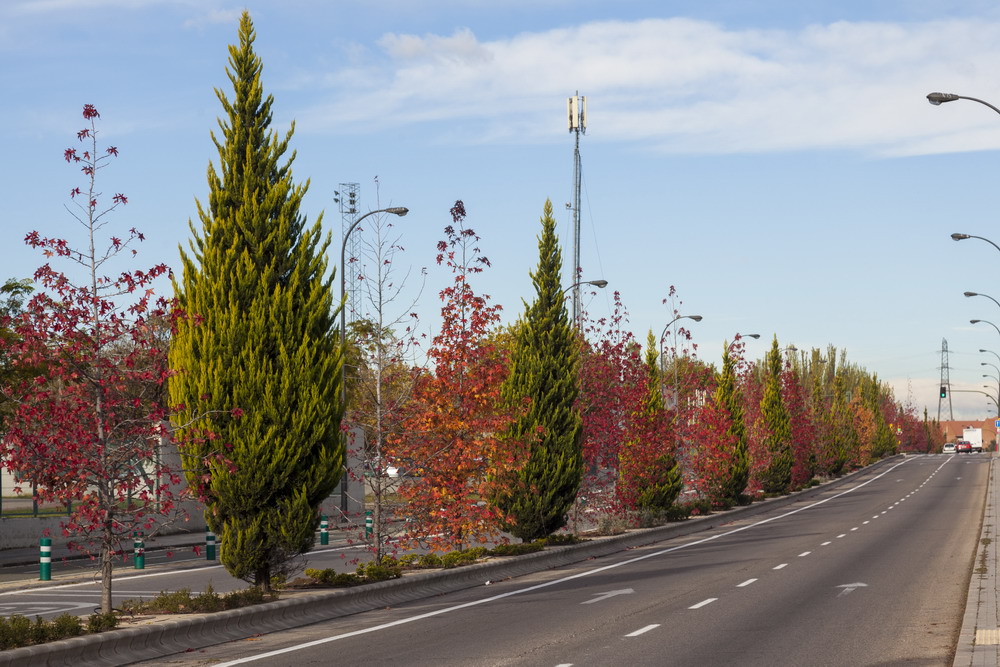 Texto Alternativo: Renovación del alumbrado de Getafe Norte con nuevos sistemas de eficiencia energética