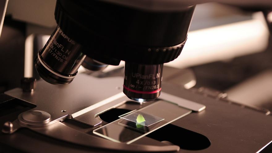 Texto Alternativo: El Hospital Príncipe de Asturias participa en un estudio internacional que muestra una línea de investigación de nuevos fármacos para bacterias multirresistentes