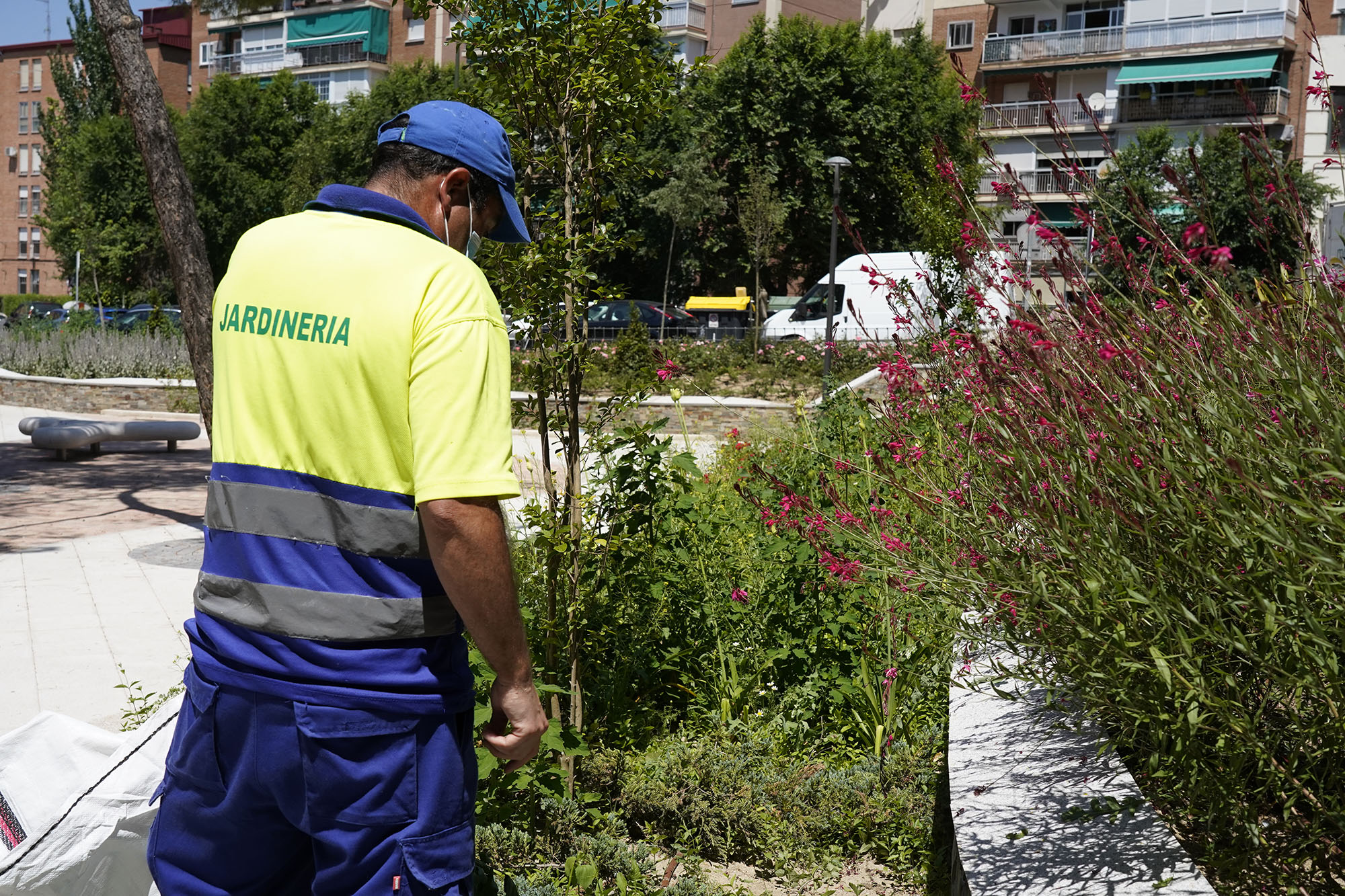 Texto Alternativo: El Gobierno de Móstoles invertirá en el mantenimiento de zonas verdes más de 26 millones de euros en los próximos 4 años