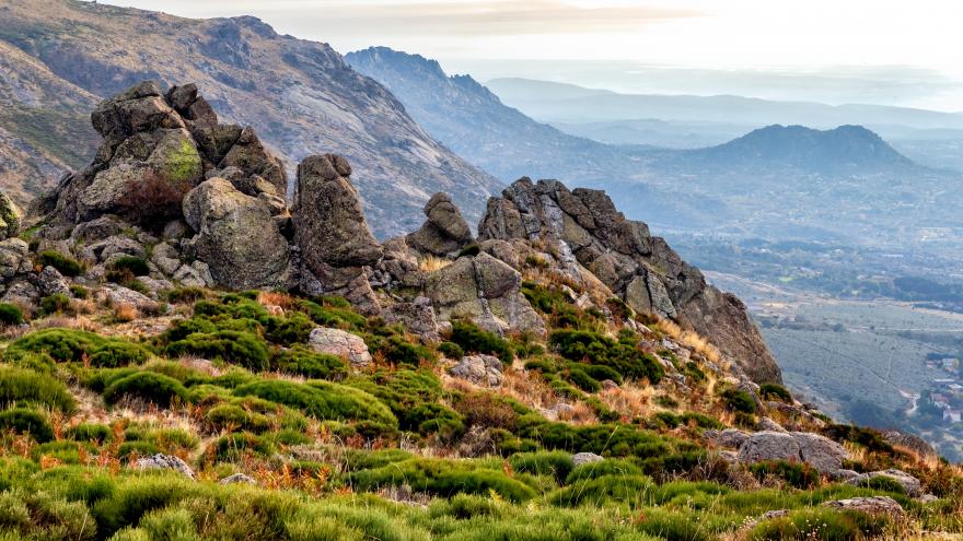 Texto Alternativo: La Comunidad de Madrid inicia un año más el seguimiento de una colonia de buitre negro en el Parque Nacional de la Sierra de Guadarrama