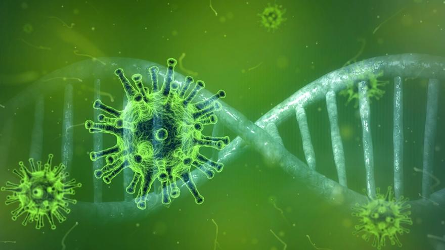 Texto Alternativo: Hematología del Hospital 12 de Octubre descubre en las células T la vía para neutralizar a la COVID-19