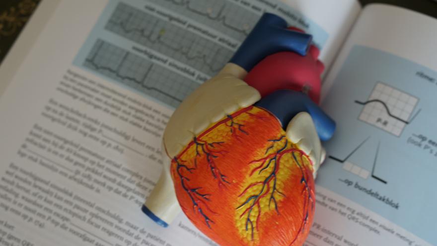 Texto Alternativo: Luchamos contra las enfermedades de tipo cardiovascular