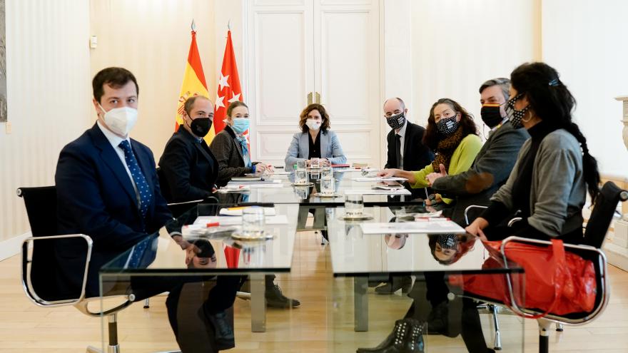 Texto Alternativo: Díaz Ayuso trabaja con los reel Gobierno de la Comunidad de Madrid presentantes de los tablaos flamencos para seguir siendo un atractivo turístico y reforzar su imagen internacional