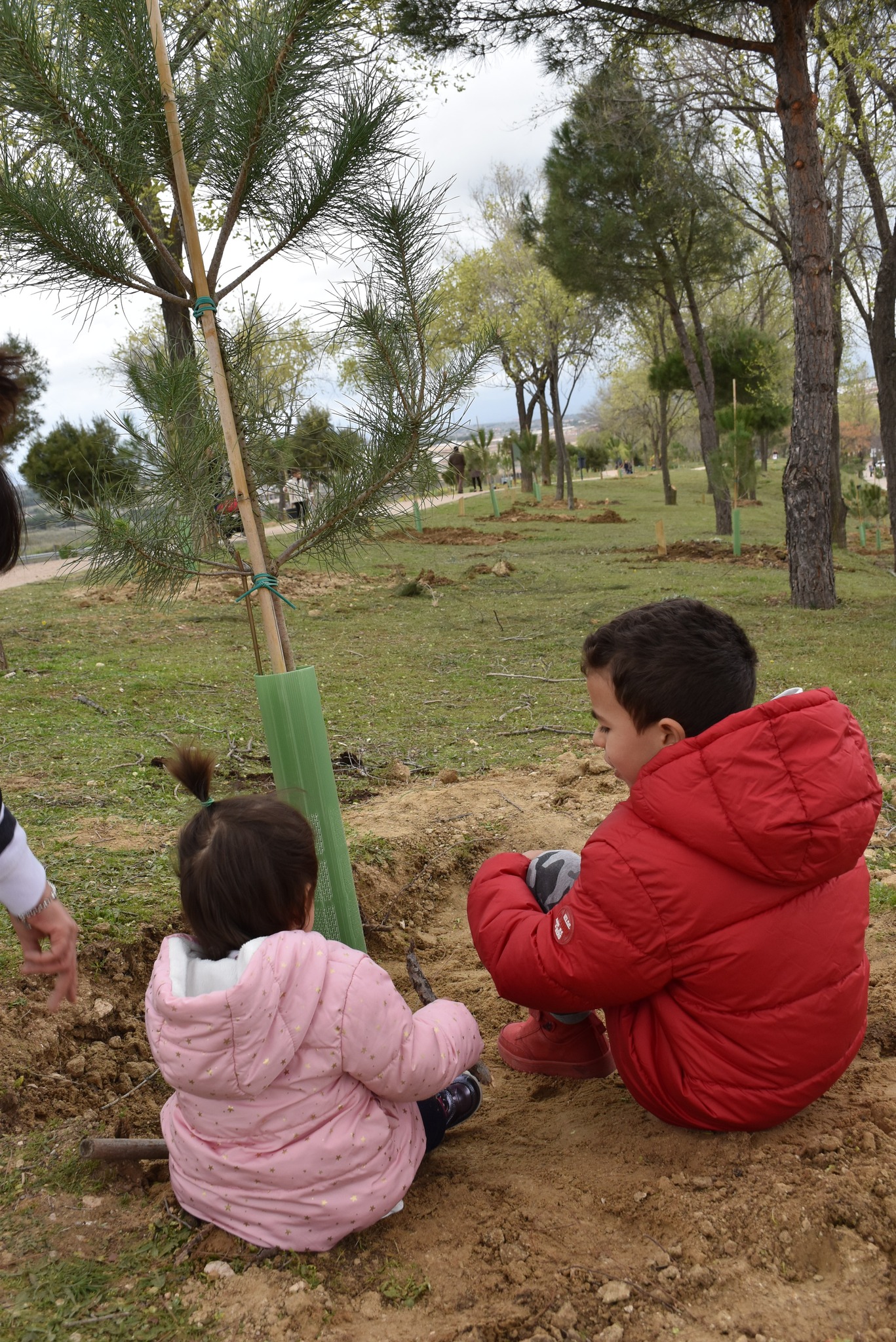 Texto Alternativo: Homenaje a los niños y niñas nacidos en el año 2020 mediante la plantación de un árbol y la colocación de una placa con su nombre