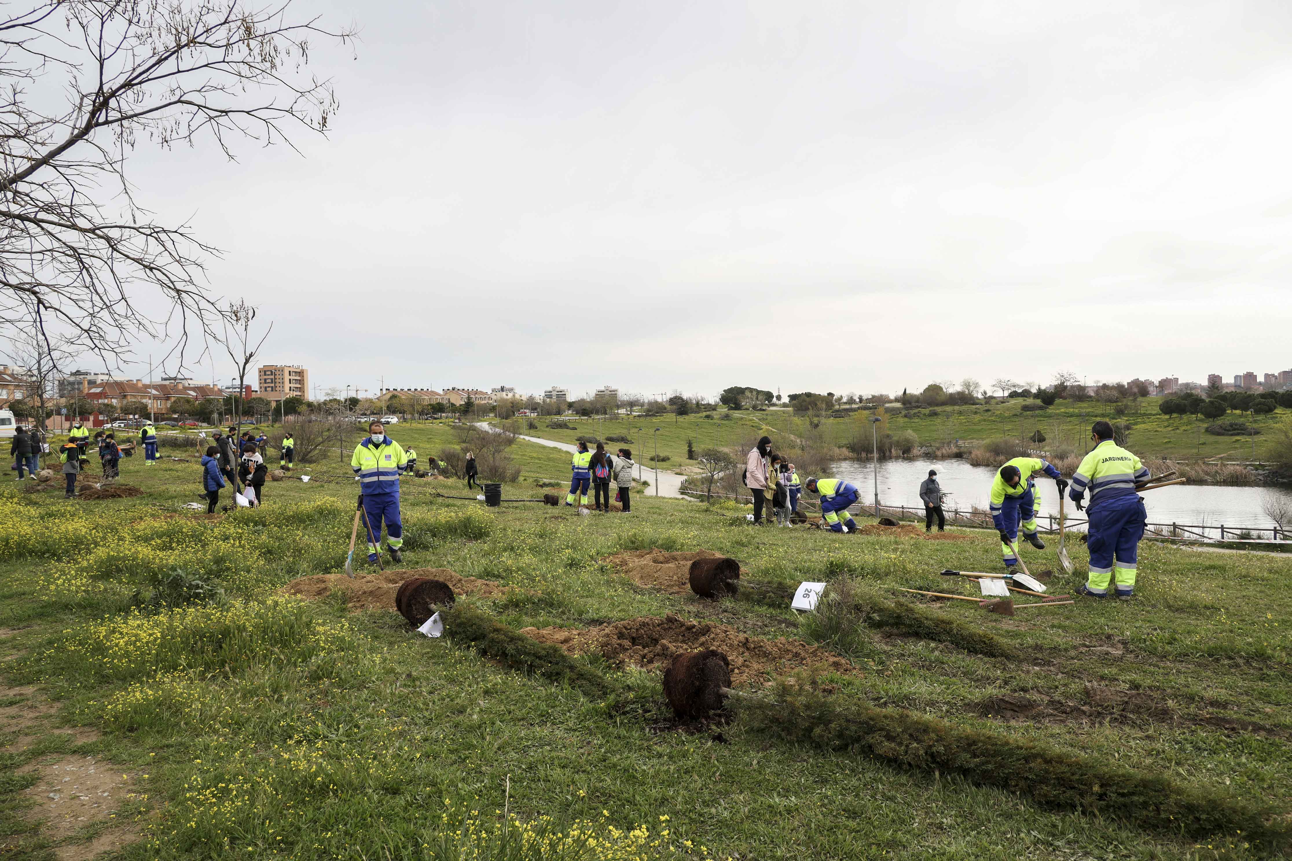Texto Alternativo: Alumnos de Primaria del CEIP Príncipe de Asturias plantan 400 árboles en el Parque Nelson Mandela para celebrar el Día del Árbol