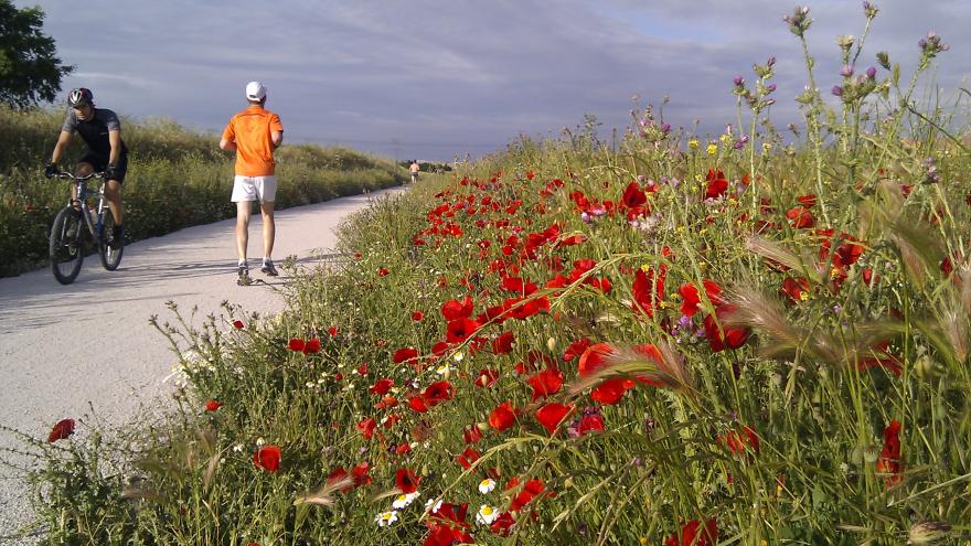 Texto Alternativo: La Comunidad de Madrid potencia el uso de las Vías Verdes como destino de turismo rural en la región