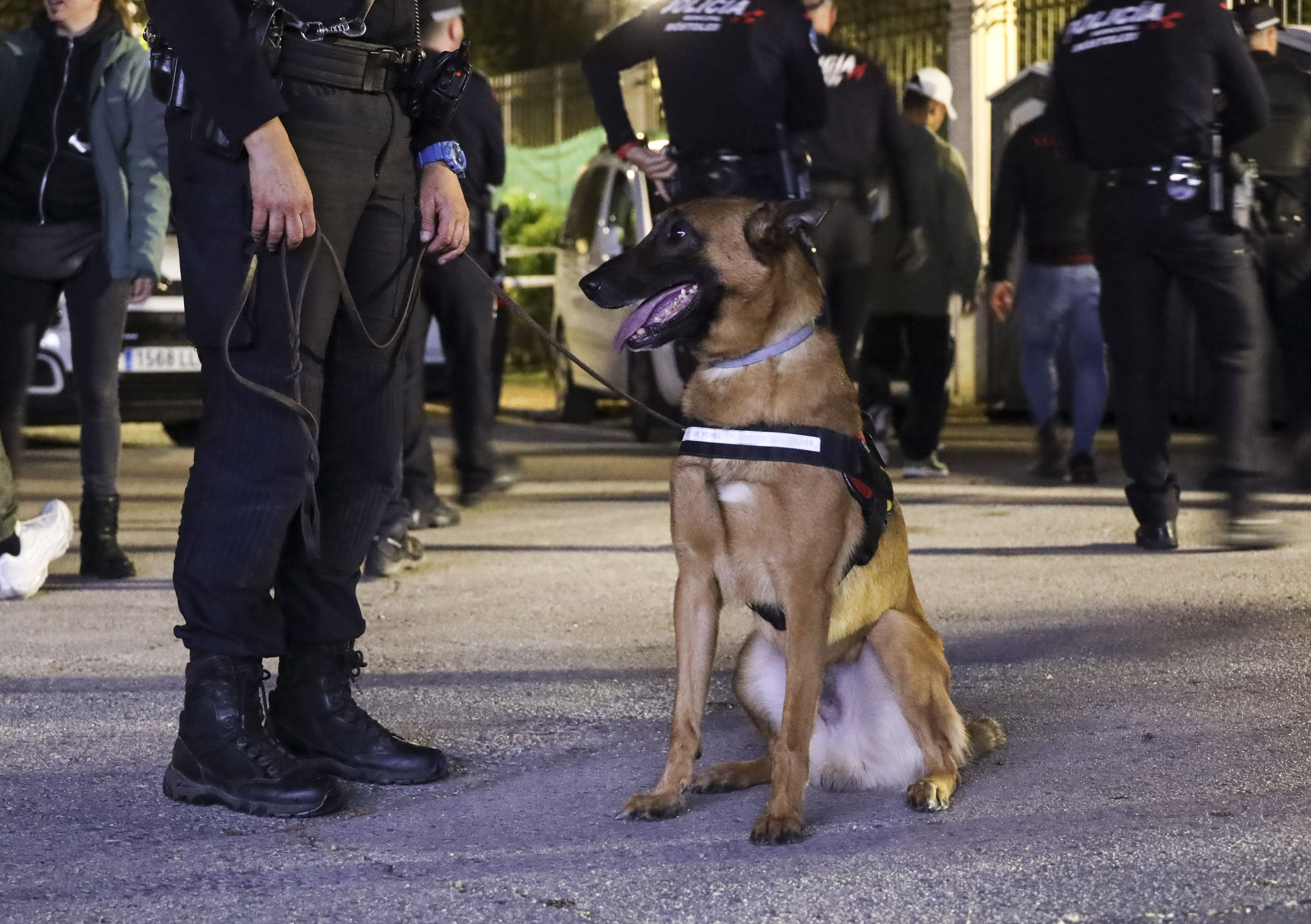 Texto Alternativo: Cerca de 60.000 personas han disfrutado de unas fiestas seguras en Móstoles