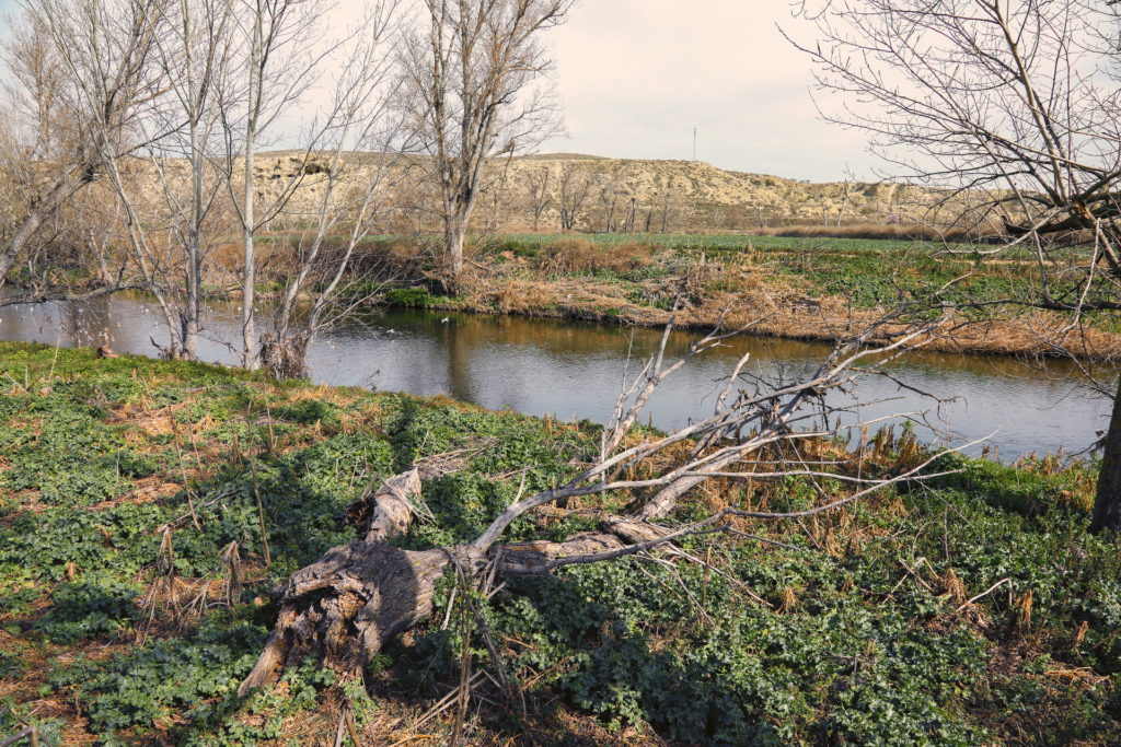 Texto Alternativo: LYMA renaturalizará el cauce del Manzanares para dar paso a Getafe Río