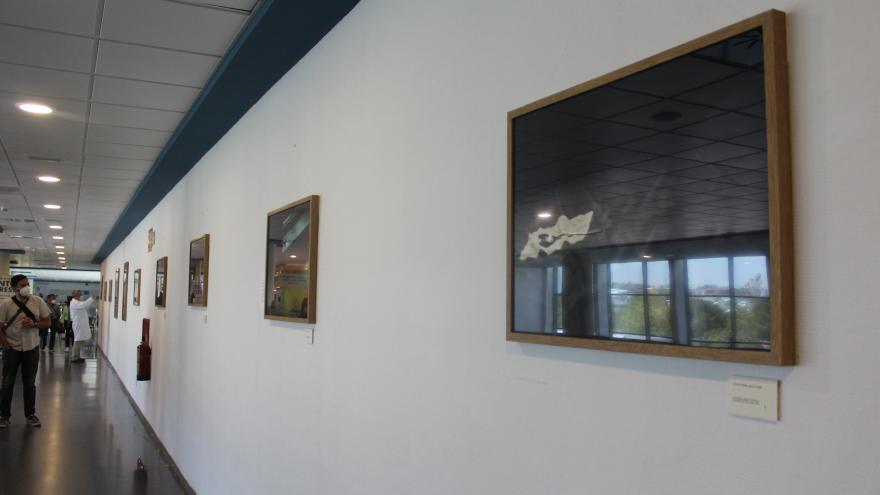 Texto Alternativo: El Hospital Universitario Puerta de Hierro Majadahonda acoge la exposición “12 Cucharas”, un recorrido visual por las emociones de una paciente con lupus