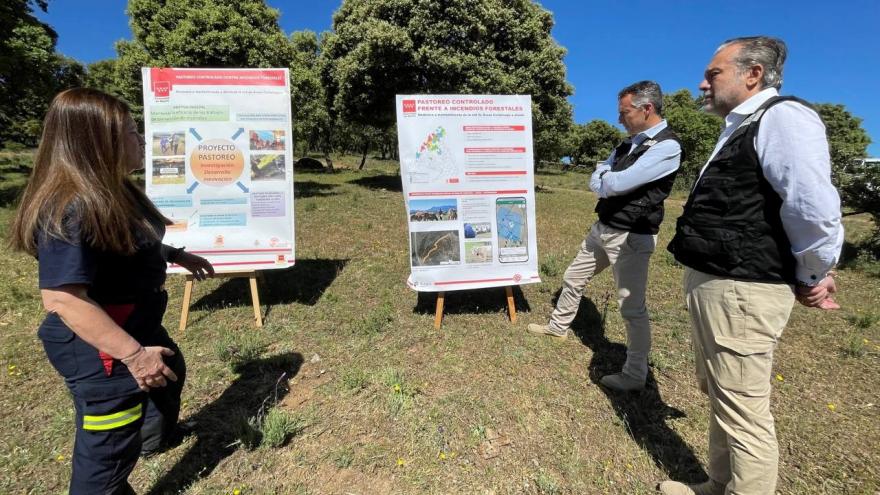 Texto Alternativo: La Comunidad de Madrid ultima un proyecto piloto para las labores de pastoreo controlado en la lucha contra los incendios forestales
