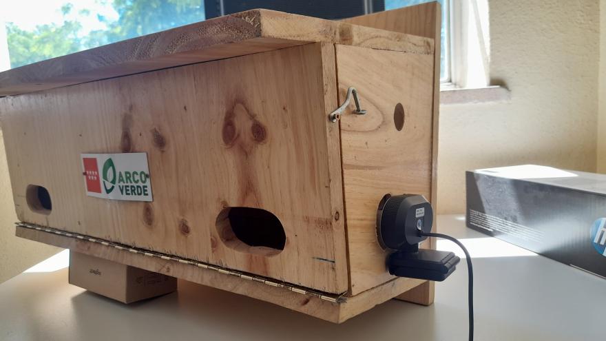 Texto Alternativo: La Comunidad de Madrid instala 14 cajas nido en la Facultad de Veterinaria de la Complutense para proteger a una población de vencejos