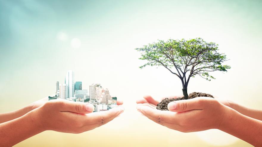 Texto Alternativo: La Comunidad de Madrid aprueba el proyecto de Ley de Economía Circular para el aprovechamiento responsable de sus recursos naturales