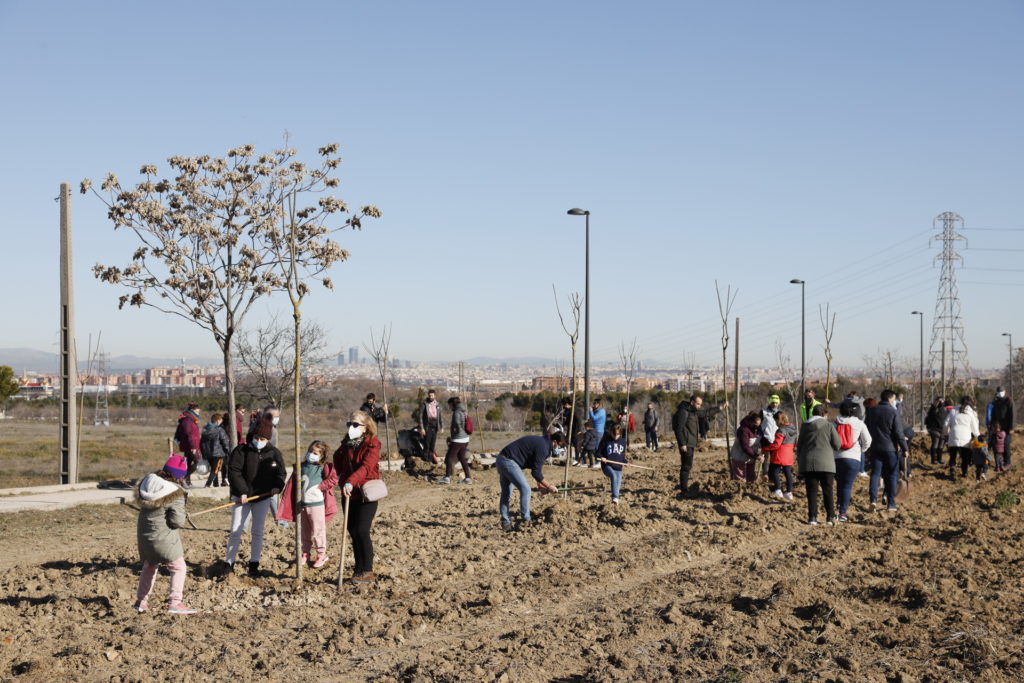 Texto Alternativo: Getafe ha plantado 10 veces más árboles que los perdidos por Filomena