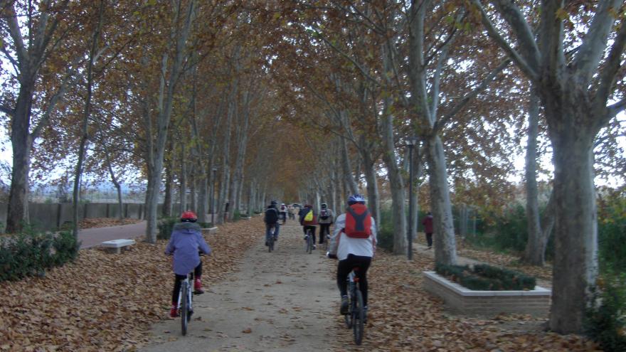 Texto Alternativo: La Comunidad de Madrid programa este verano más de 100 actividades medioambientales gratuitas para acercar la naturaleza a los ciudadanos
