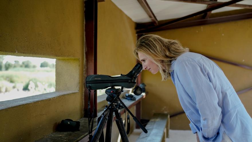Texto Alternativo: La Comunidad de Madrid estrena un observatorio de aves en la Laguna de San Juan para la investigación de avifauna acuática