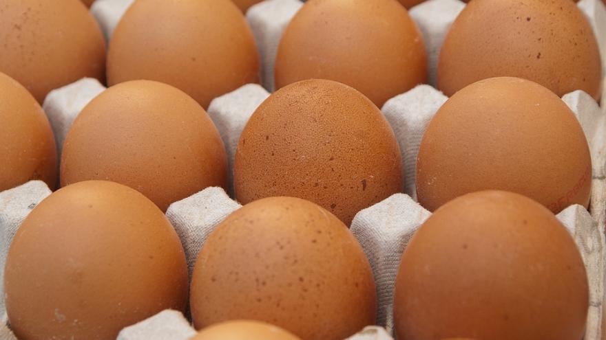 Texto Alternativo: La Comunidad de Madrid recuerda extremar las precauciones con alimentos que contengan huevo para evitar la salmonelosis