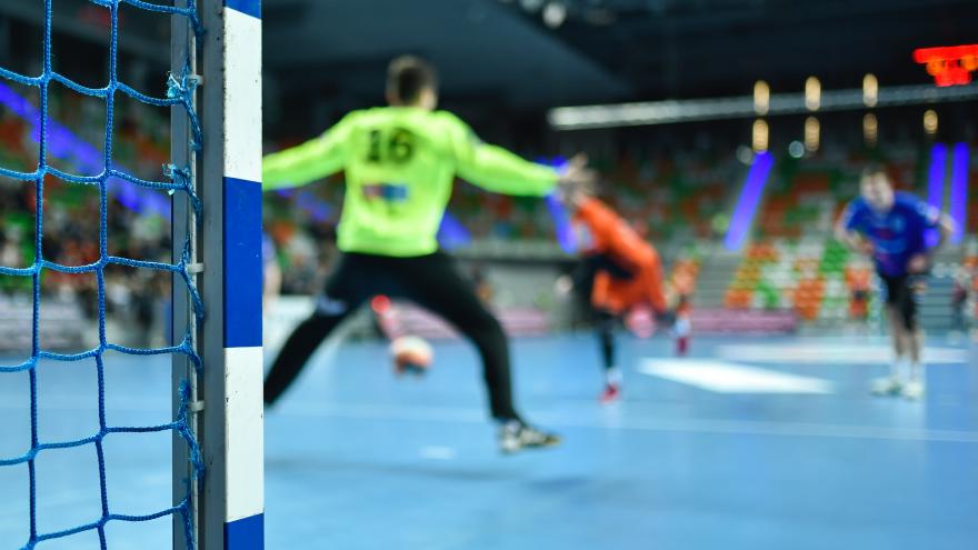Texto Alternativo: La Comunidad de Madrid introduce nuevos contenidos en las titulaciones de enseñanzas deportivas de balonmano y piragüismo