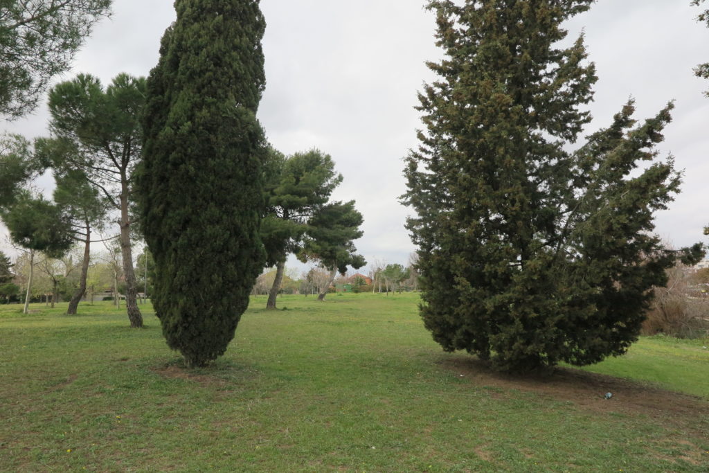 Texto Alternativo: Getafe comienza el estudio para proteger su biodiversidad
