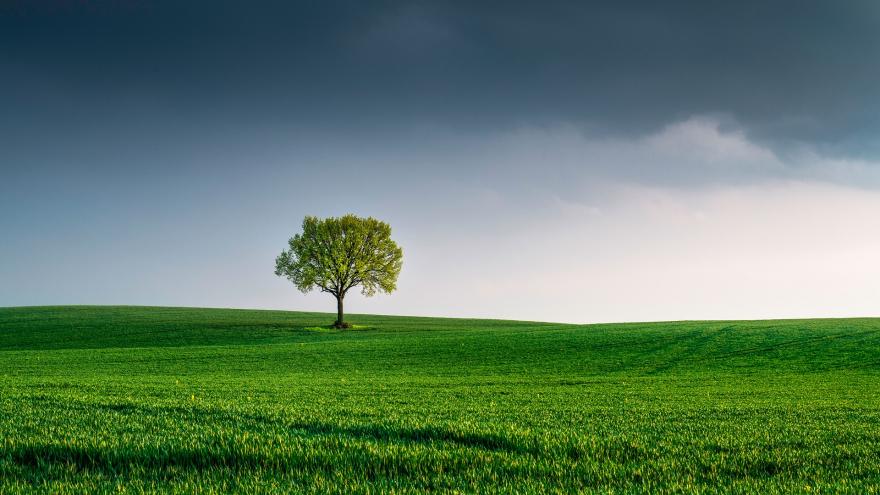 Texto Alternativo: La Comunidad de Madrid realiza su tercera emisión pública de bonos verdes, logrando 500 millones de euros a siete años