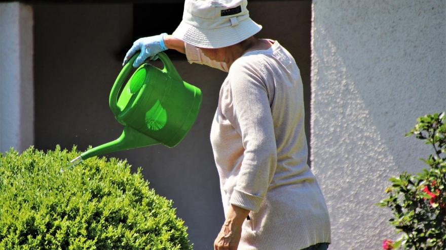 Texto Alternativo: Entrega de premios de los concursos de huertos y jardines para residencias y centros de día de mayores