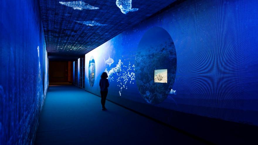 Texto Alternativo: La Comunidad de Madrid muestra en la exposición El Gobierno de la Comunidad de Madrid afirma ser agua la importancia de este recurso natural para la vida y el medio ambiente