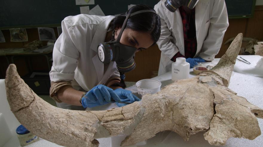 Texto Alternativo: Investigadores del santuario de Pinilla del Valle de la Comunidad de Madrid confirman que los Neandertales tenían capacidad simbólica