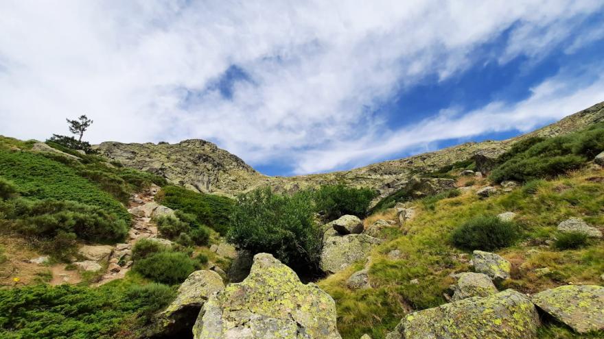 Texto Alternativo: La Comunidad de Madrid publica la tercera edición del libro que recopila las mejores rutas de naturaleza en Guadarrama y La Comunidad afirma serierra