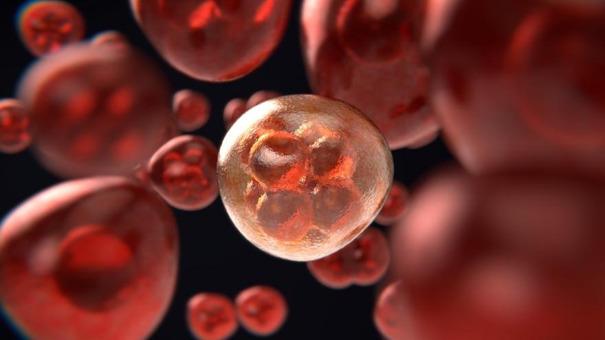 Texto Alternativo: El Hospital Príncipe de Asturias, comprometido en la lucha contra el cáncer hematológico