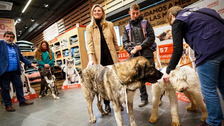 Texto Alternativo: La Comunidad de Madrid la Comunidad presenta la campaña Conóceme y Adóptame para concienciar sobre la acogida de perros y gatos abandonados