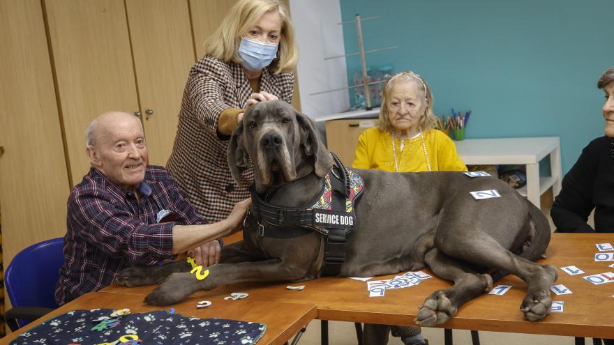 Texto Alternativo: Más de 40 residencias de mayores de la Comunidad de Madrid ofrecen terapias asistidas con animales