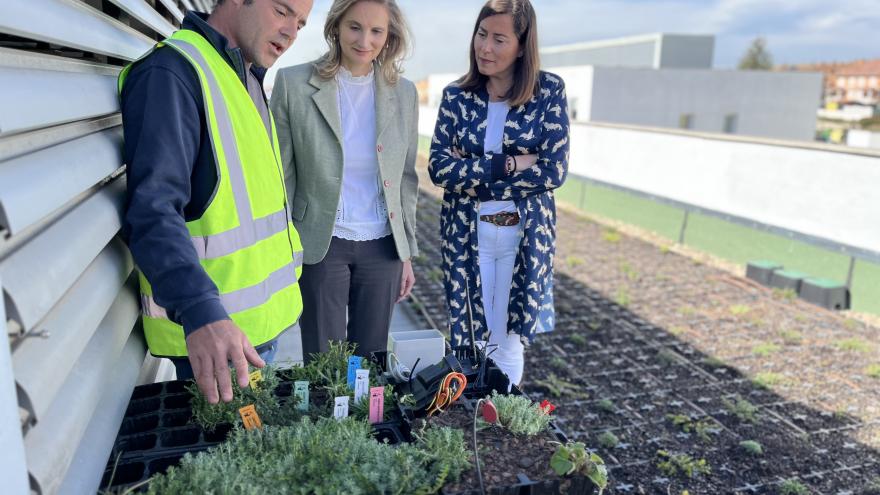 Texto Alternativo: La Comunidad de Madrid instala en Arroyomolinos los primeros tejados ecológicos en viviendas sociales para reducir un 10% su consumo energético