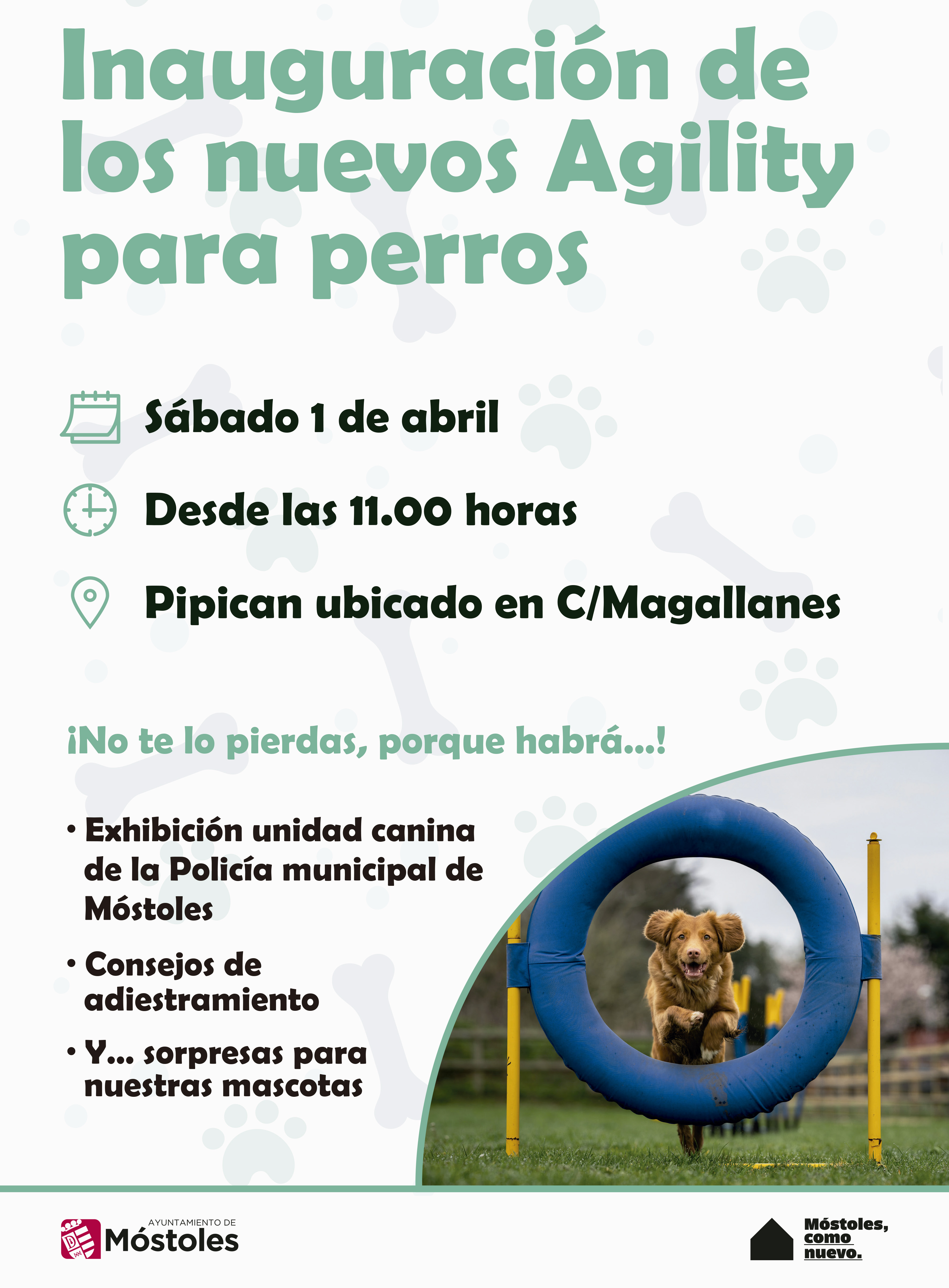 Texto Alternativo: Móstoles habilita circuitos de agility para perros en diferentes áreas caninas del municipio