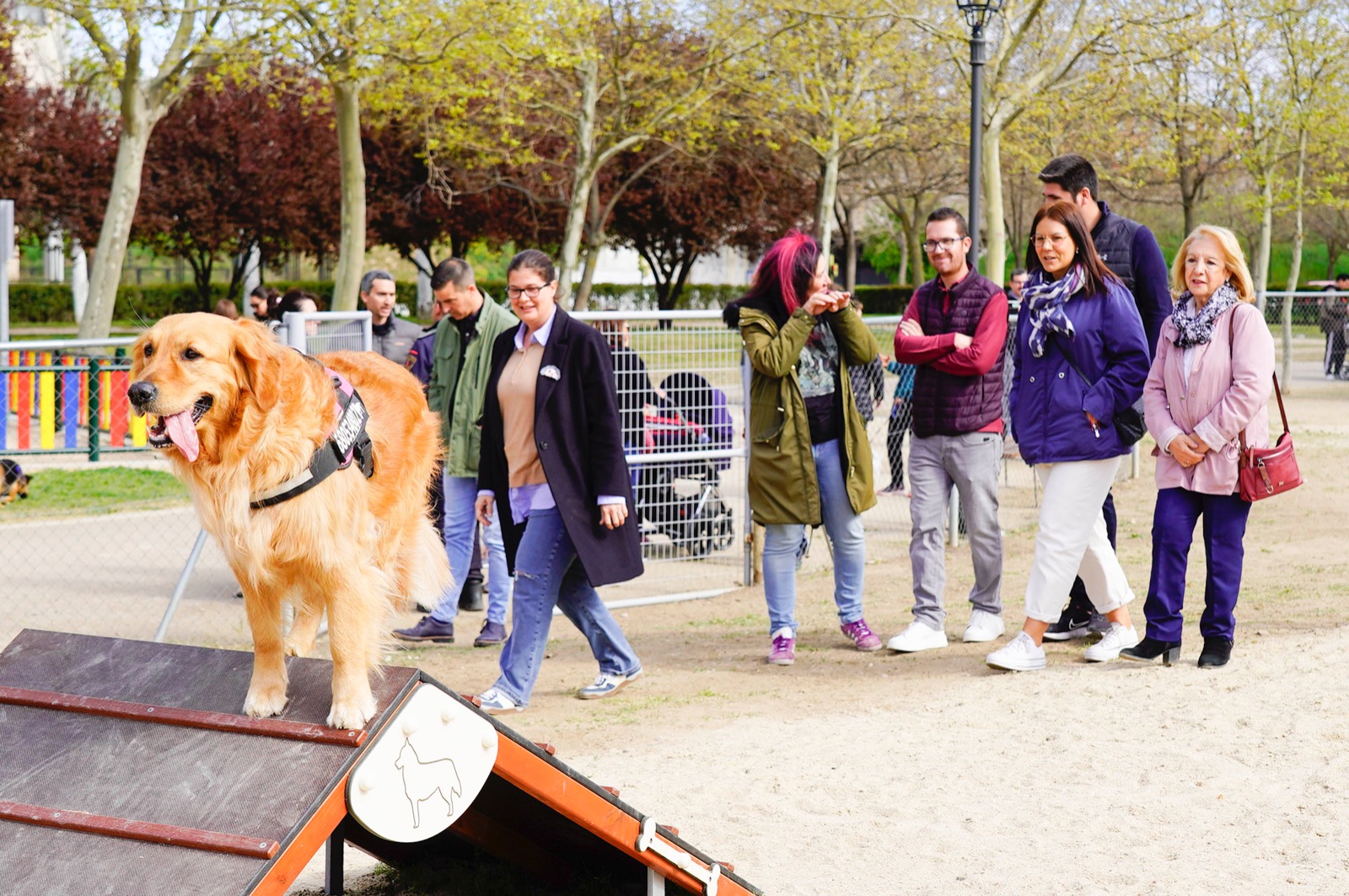 Texto Alternativo: Más de 100 perros han participado en la inauguración del circuito de agilidad del parque de los Planetas