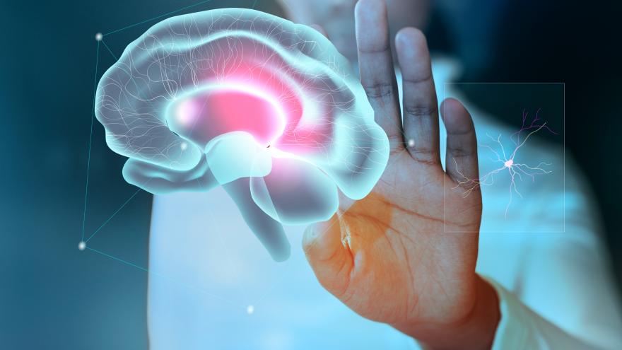 Texto Alternativo: El Hospital de La Princesa mantiene en seguimiento a 4.000 pacientes de Parkinson