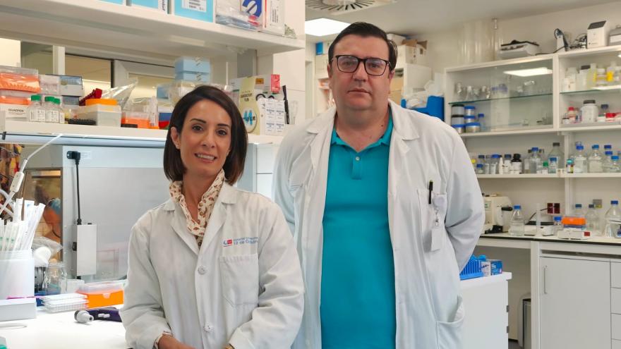 Texto Alternativo: Investigadores del Hospital 12 de Octubre demuestran que el pronóstico de uno de los cánceres más agresivos de próstata está condicionado por otras alteraciones en el tumor