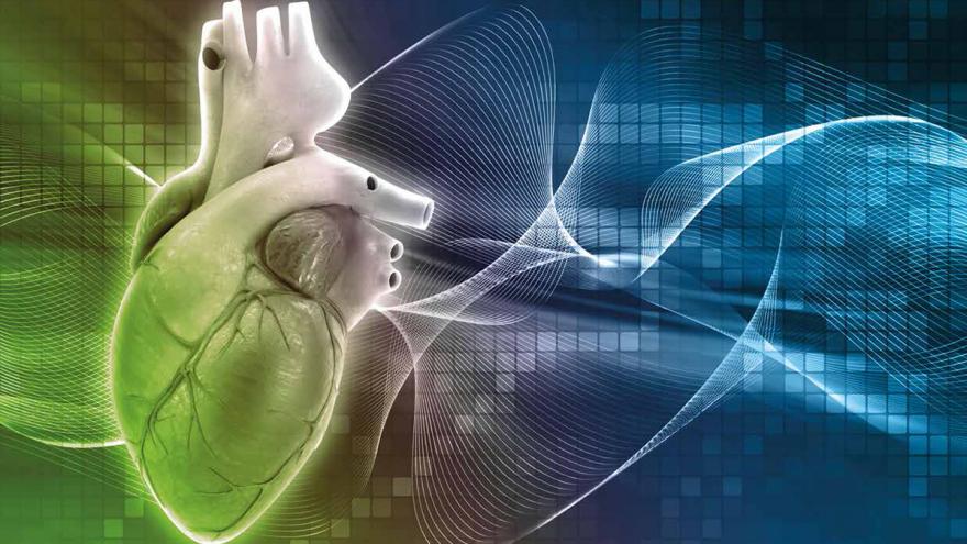 Texto Alternativo: El Hospital Clínico San Carlos organiza un curso avanzado sobre electrocardiografía para la formación de profesionales