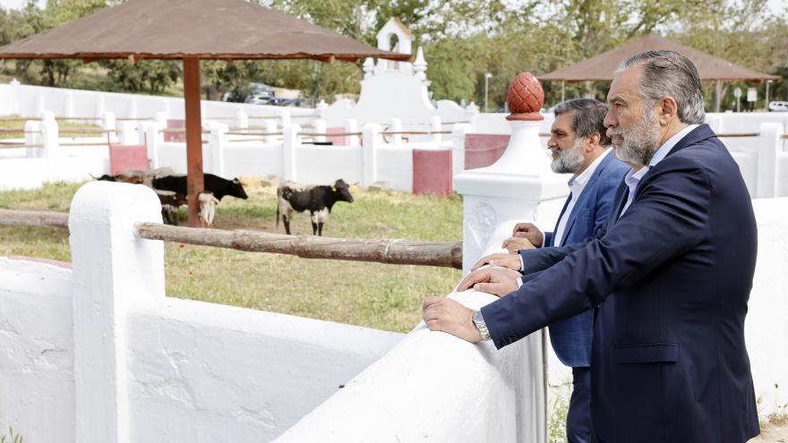 Texto Alternativo: La Comunidad de Madrid estrena en la Venta del Batán la I Feria de Ganaderías de reses bravas con múltiples actividades culturales