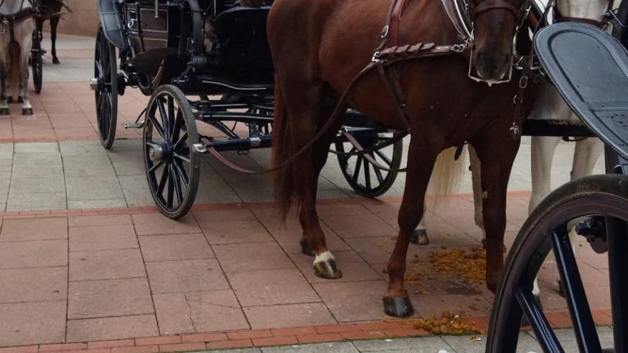 Texto Alternativo: La Comunidad de Madrid celebra la tradicional corrida Goyesca con motivo del 2 de Mayo