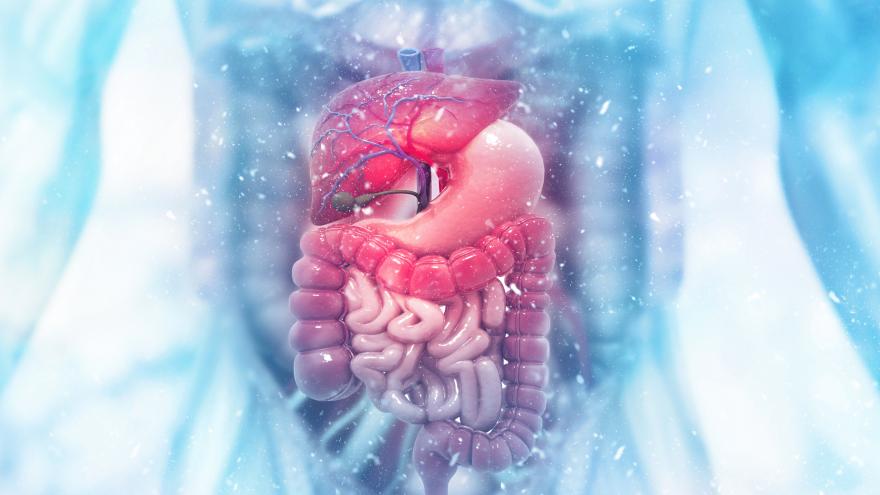 Texto Alternativo: El Hospital Universitario de Fuenlabrada incorpora un nuevo sistema de inteligencia artificial para la detección de pólipos digestivos